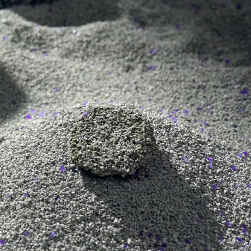 সেরা খনিজ বিড়াল লিটার নির্বাচন করা: একটি পরিষ্কার বাড়ির জন্য ব্যবহারিক টিপস